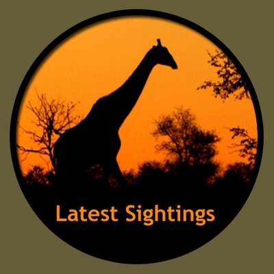 Latest Sightings