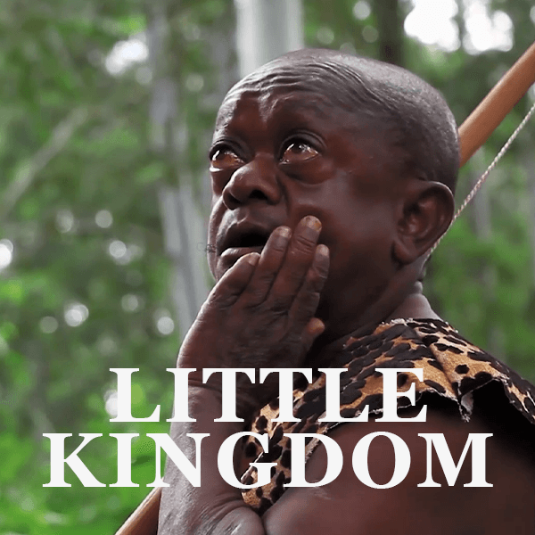 Little Kingdom