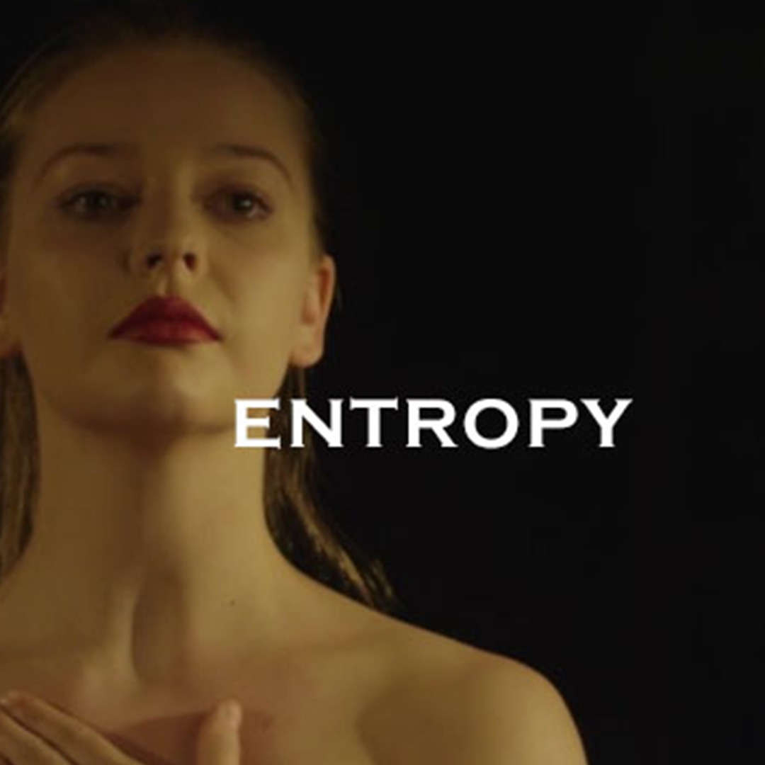 Entropy